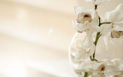 Further lessons by Max