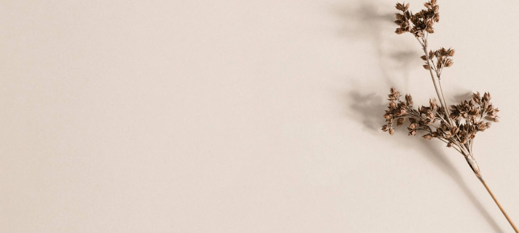 Celebrating differences. Blog. Blog. Live Life Inspired Autism