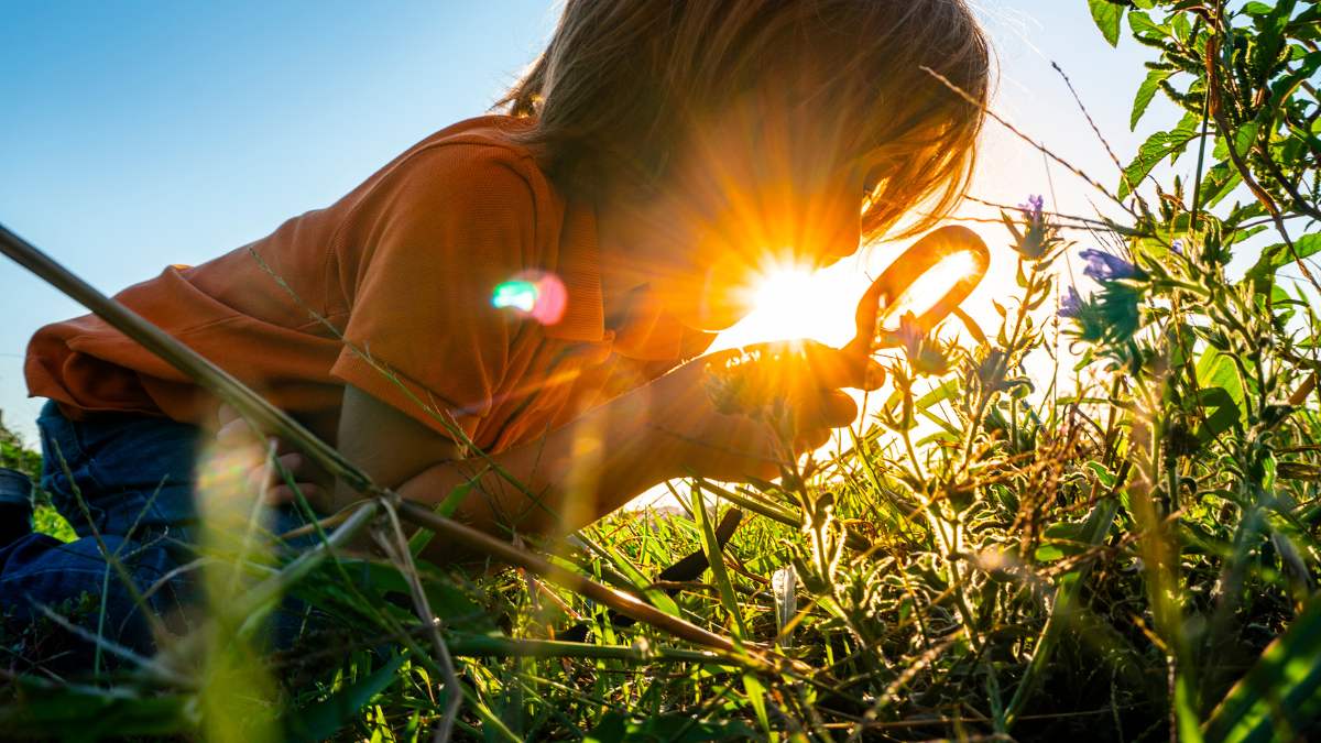 What is your child’s passion - Blog Life Life Inspired Autism