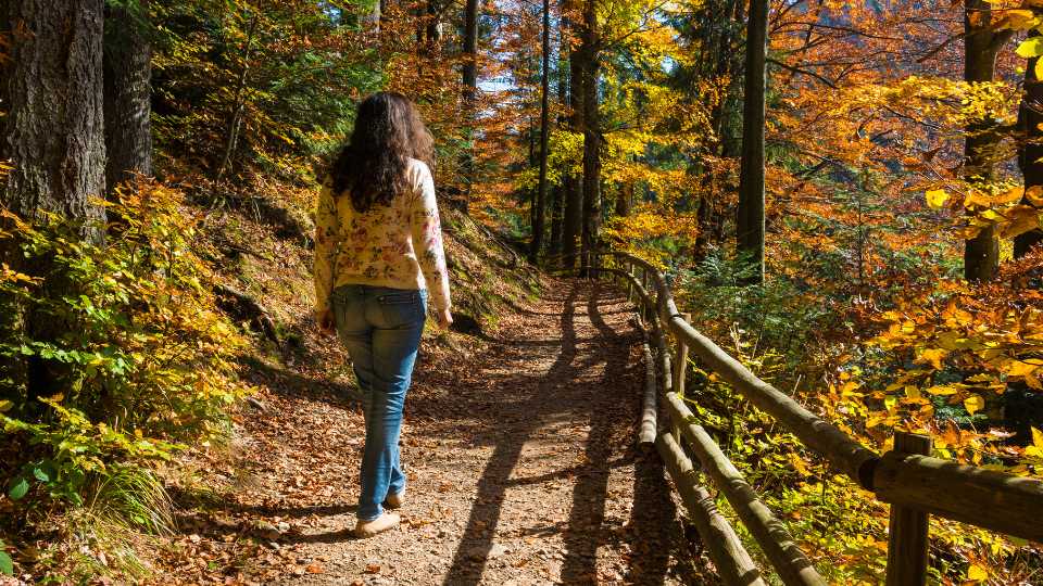 Blog - Transitions and Changes